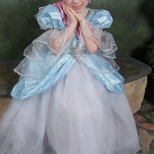 Halloween Costume - Fairy Princess Dress